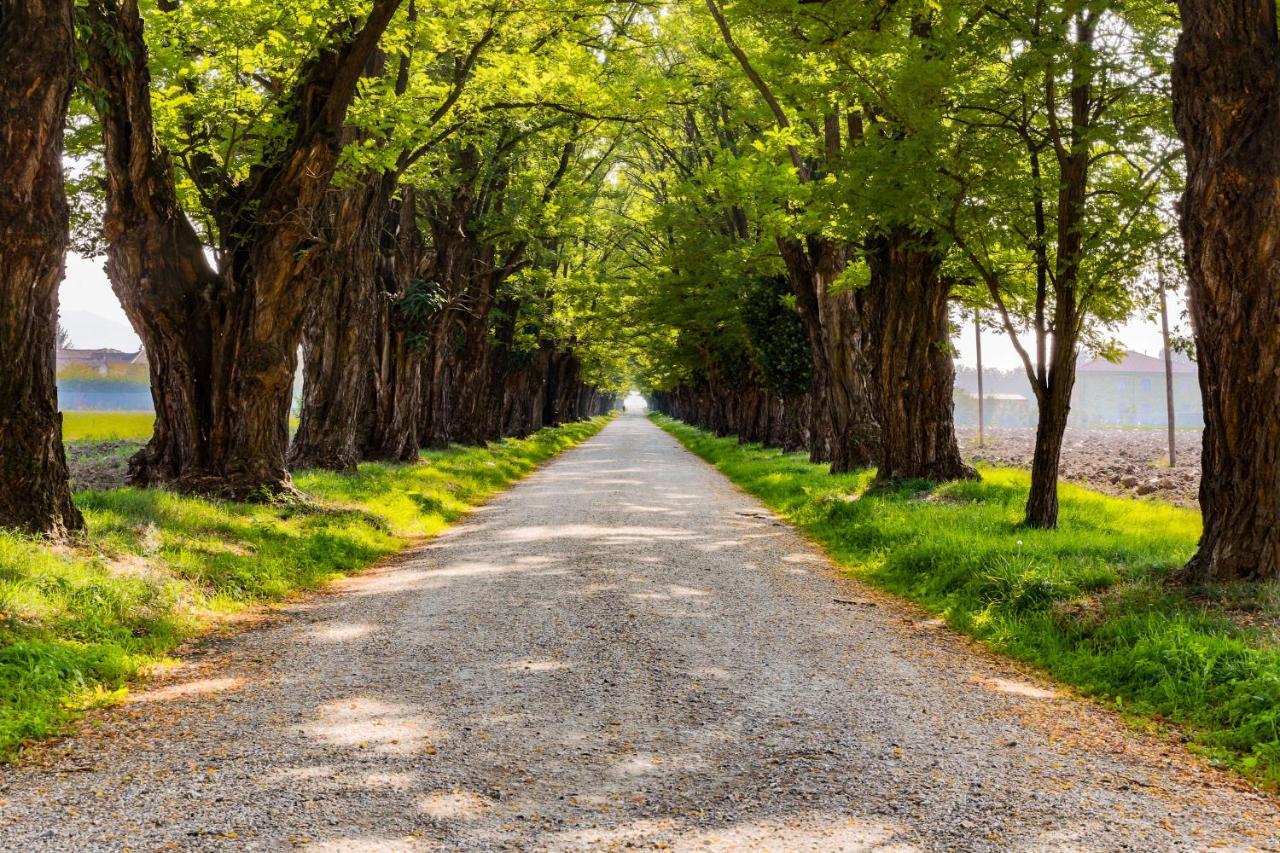 Agriturismo Le Corti Della Gualdana ヴォゲーラ エクステリア 写真