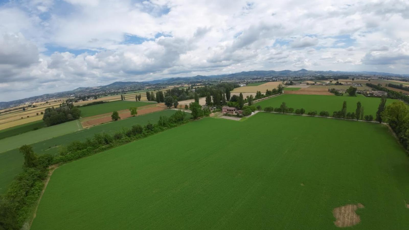 Agriturismo Le Corti Della Gualdana ヴォゲーラ エクステリア 写真