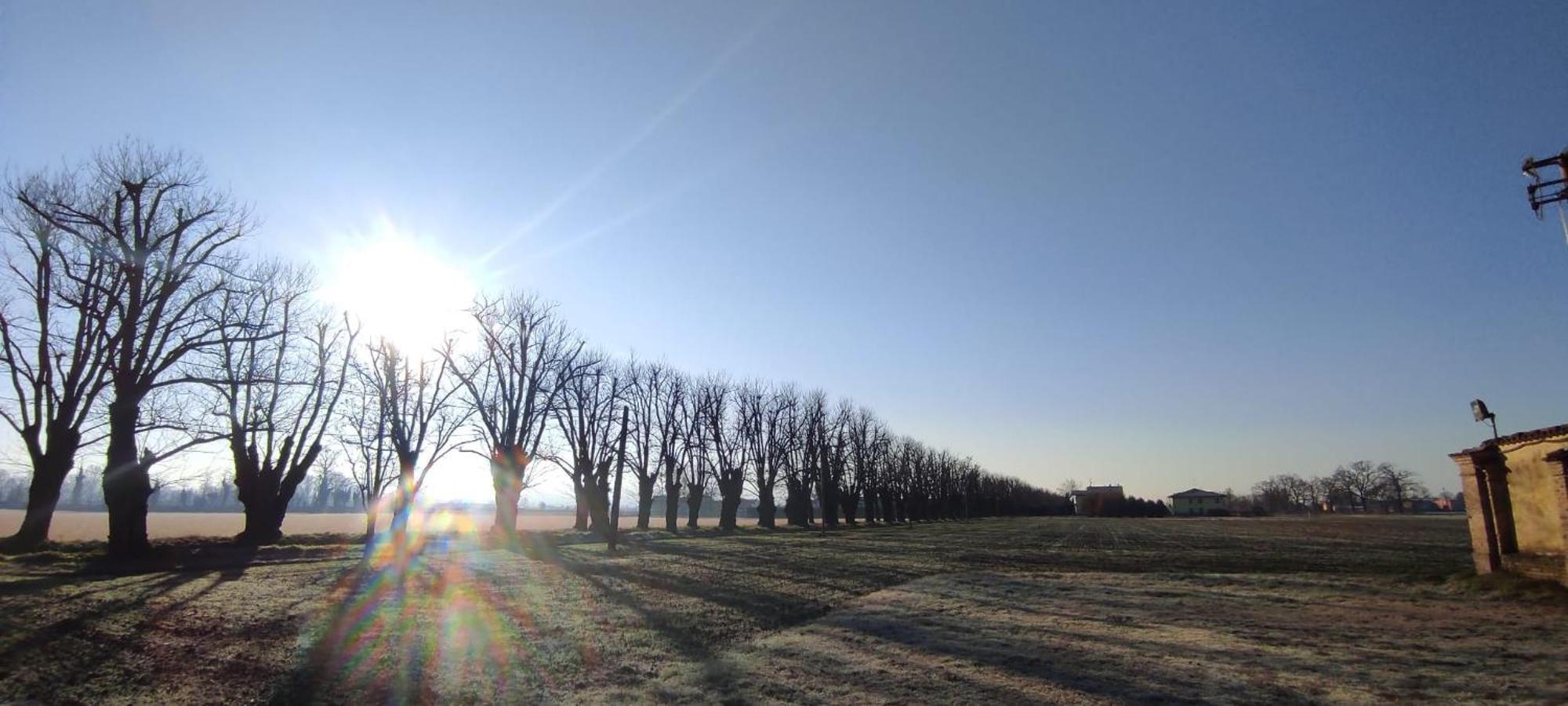 Agriturismo Le Corti Della Gualdana ヴォゲーラ エクステリア 写真